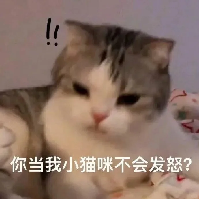 小猫咪表情包