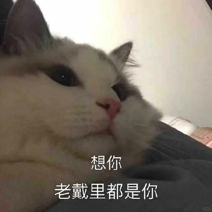 小猫：想刀人的心是藏不住的