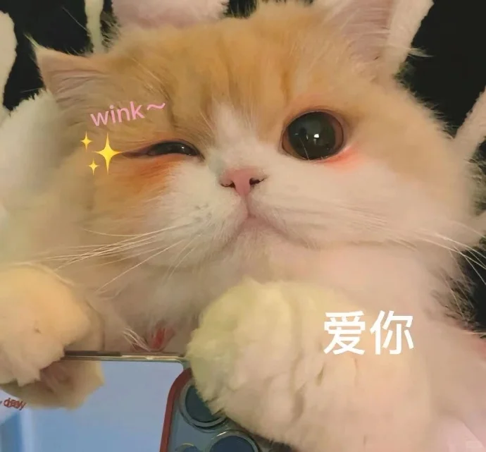 小猫：想刀人的心是藏不住的