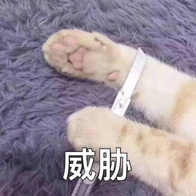 小猫：想刀人的心是藏不住的