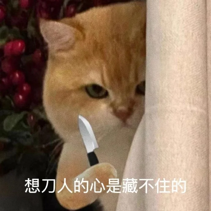 小猫：想刀人的心是藏不住的