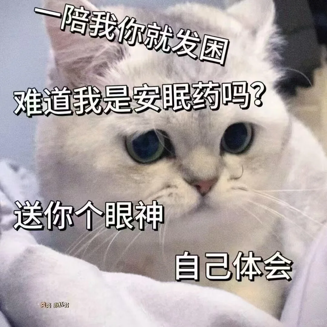 猫咪表情包太可爱了吧