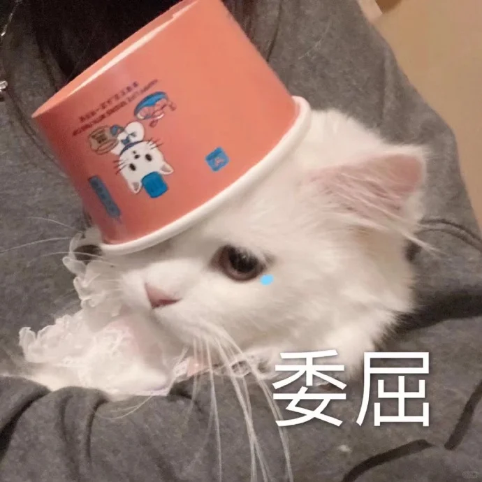 小猫：想刀人的心是藏不住的