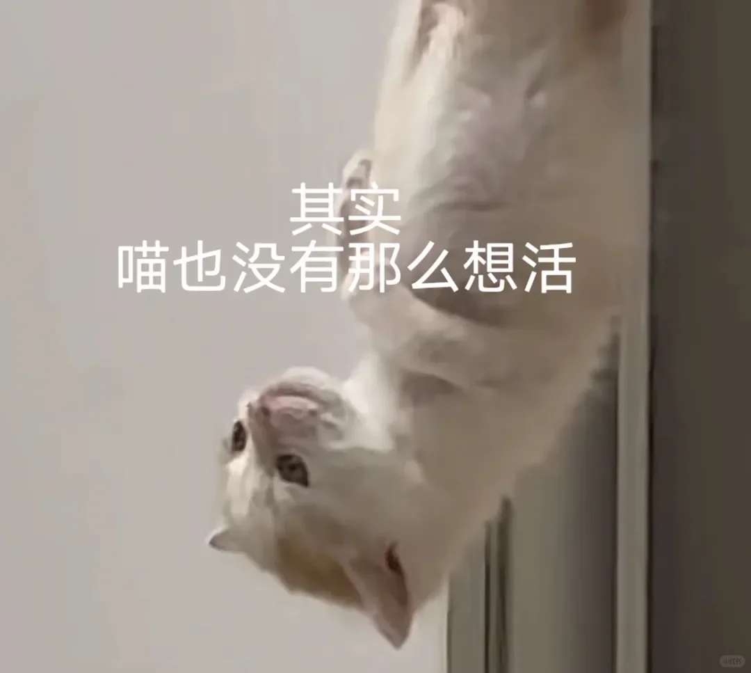 好难过…