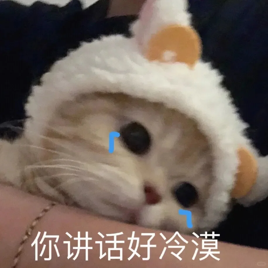 小猫咪表情包