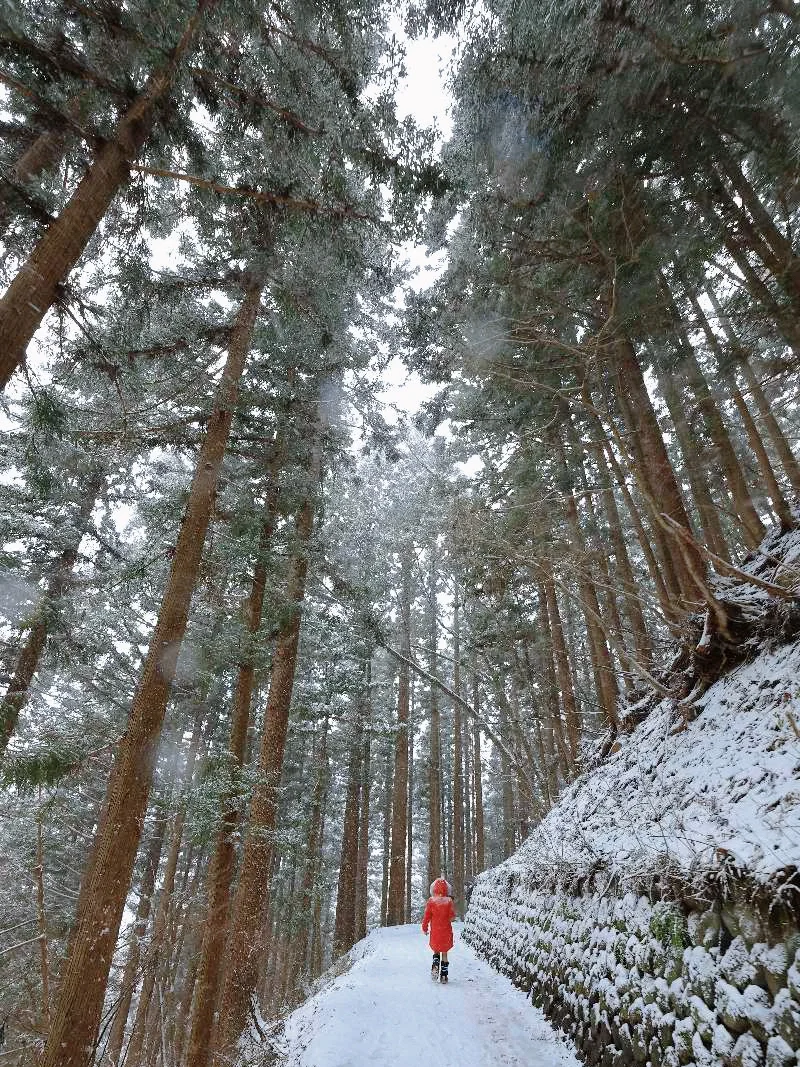 千与千寻照进现实❄️♨️年度温泉大赏！