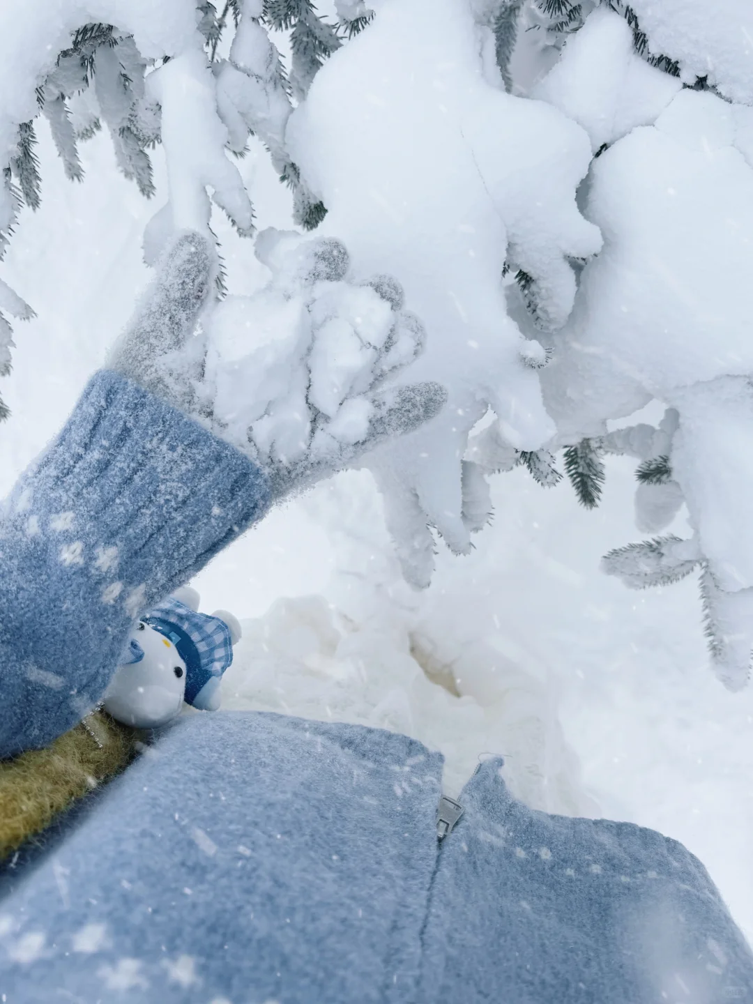 谁懂啊！80+费尔岛毛衣和雪地也太配了吧！！