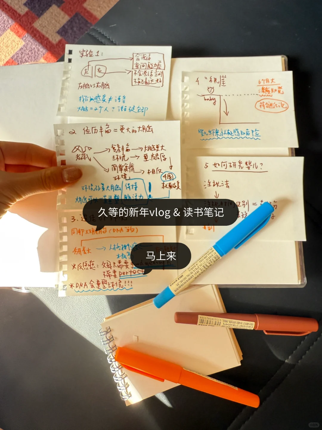 运动女孩年度书单｜运动科学，运动心理&营养