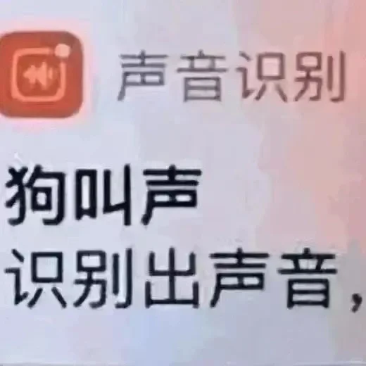 抽象表情包第九期｜弱脂