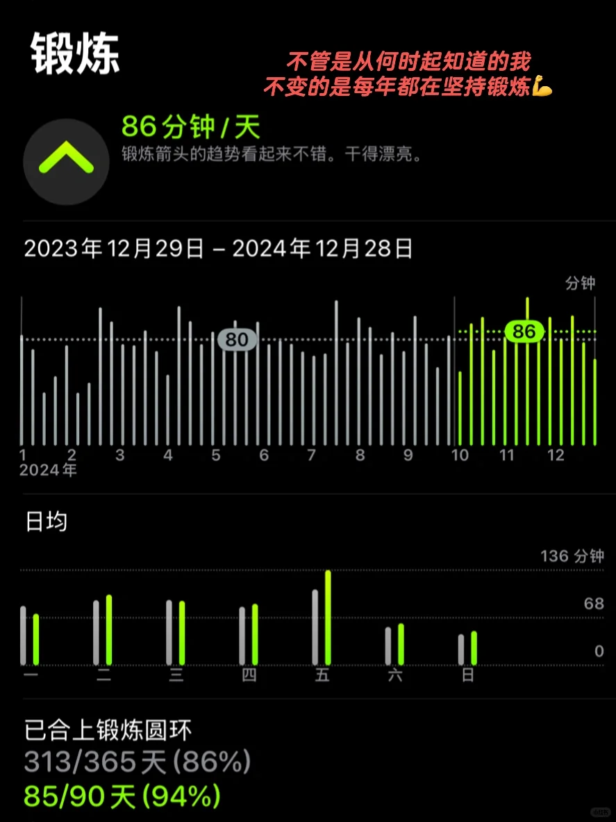 2024健身总结｜运动第七年 人生才刚开始