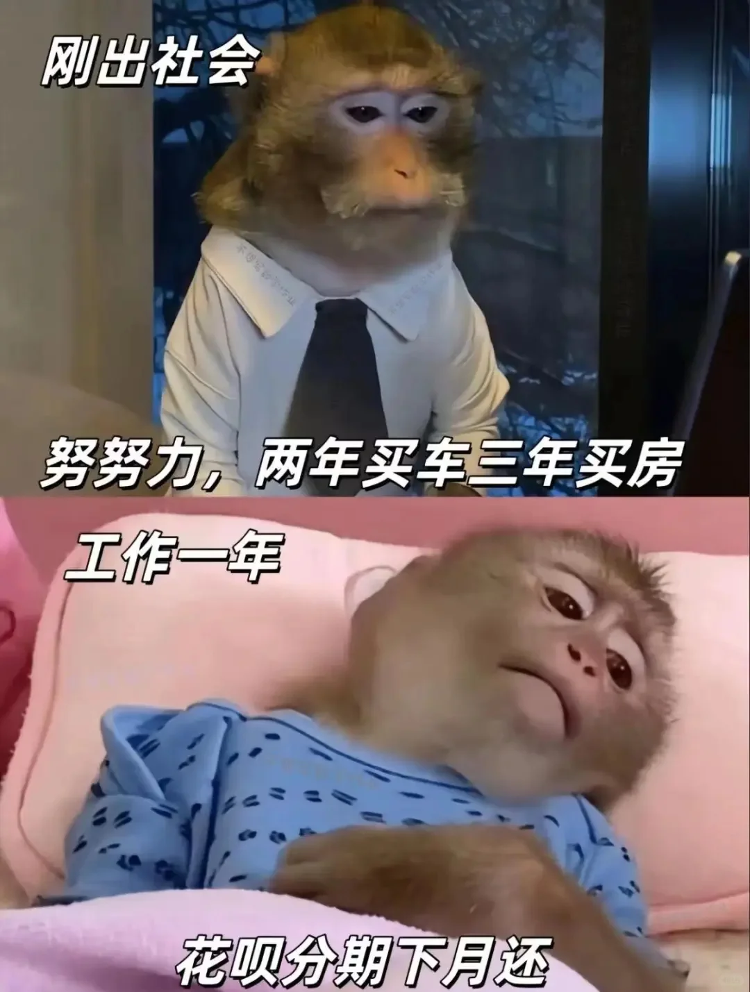 上班前后表情包，不准偷笑