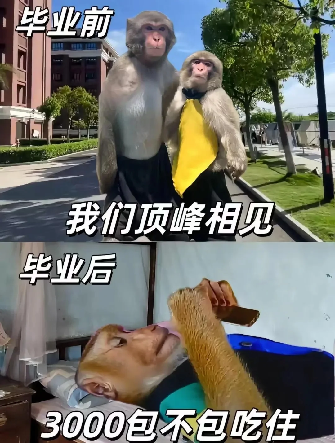 上班前后表情包，不准偷笑