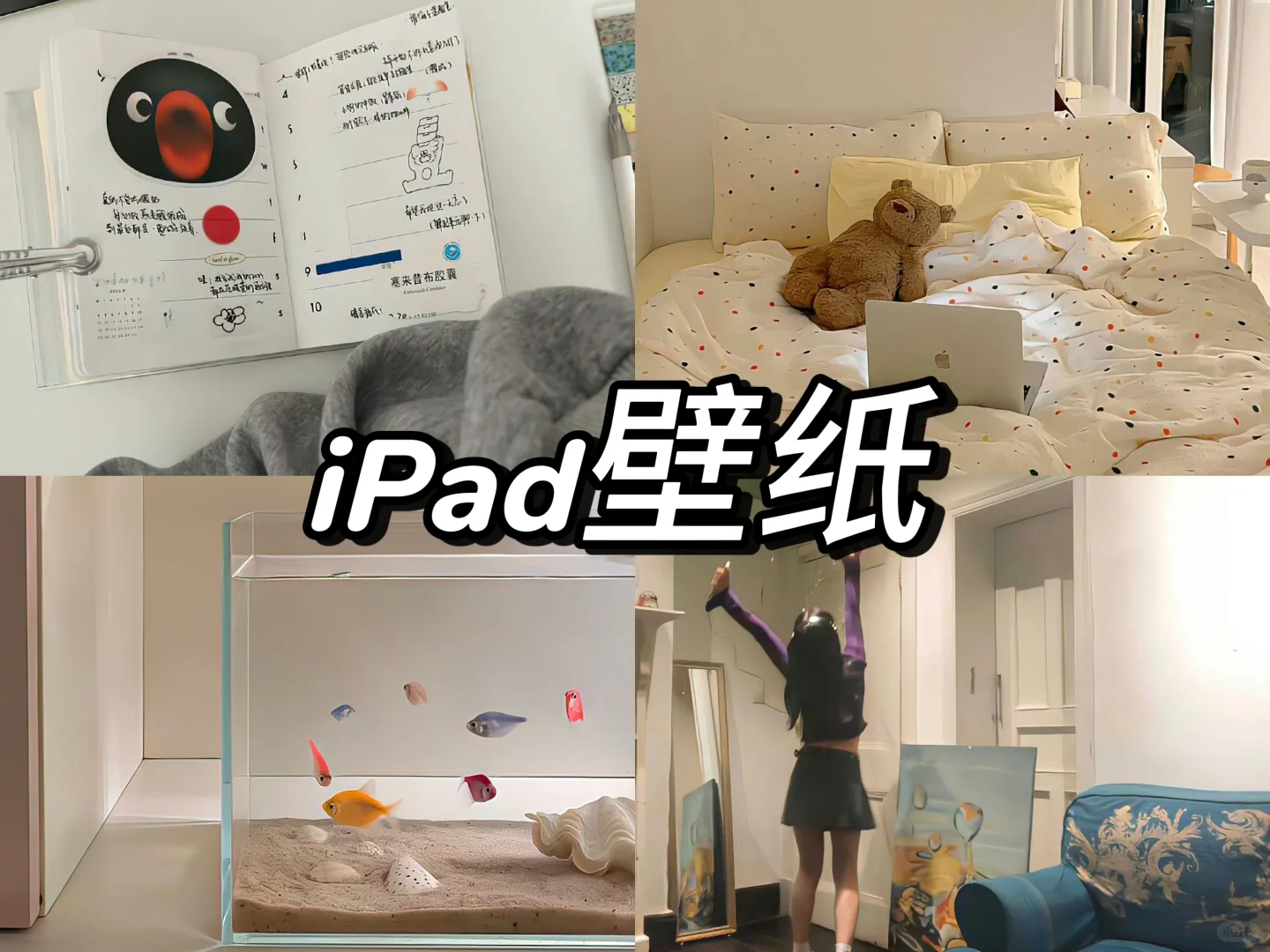 iPad壁纸｜☁️ 电脑/ipad壁纸?