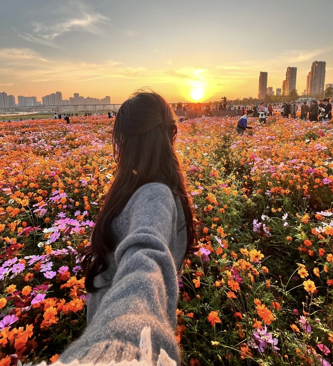 花海小清新女生头像?