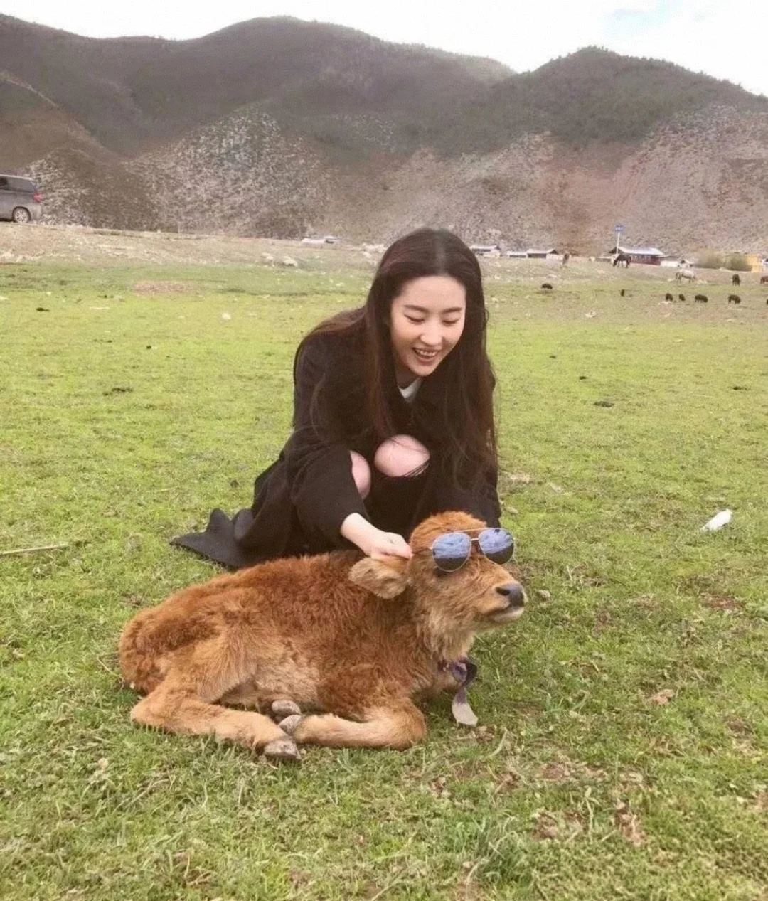 我心目中最向往的最肆意生长的女孩子