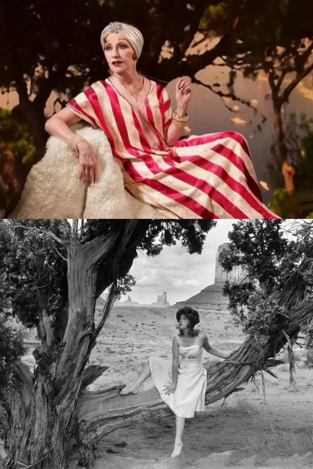 女摄影艺术家 | 辛迪·舍曼 Cindy Sherman