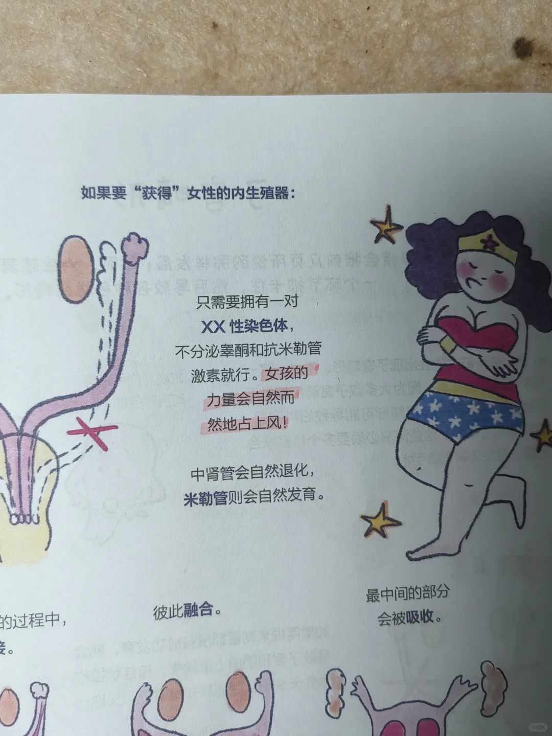 适合女孩子的性教育科普