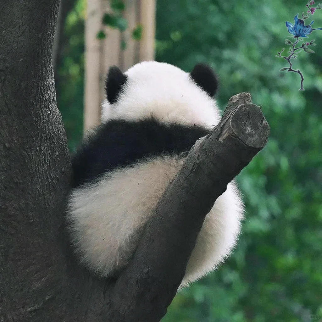 今天是个好天气 所以我希望你能遇见我