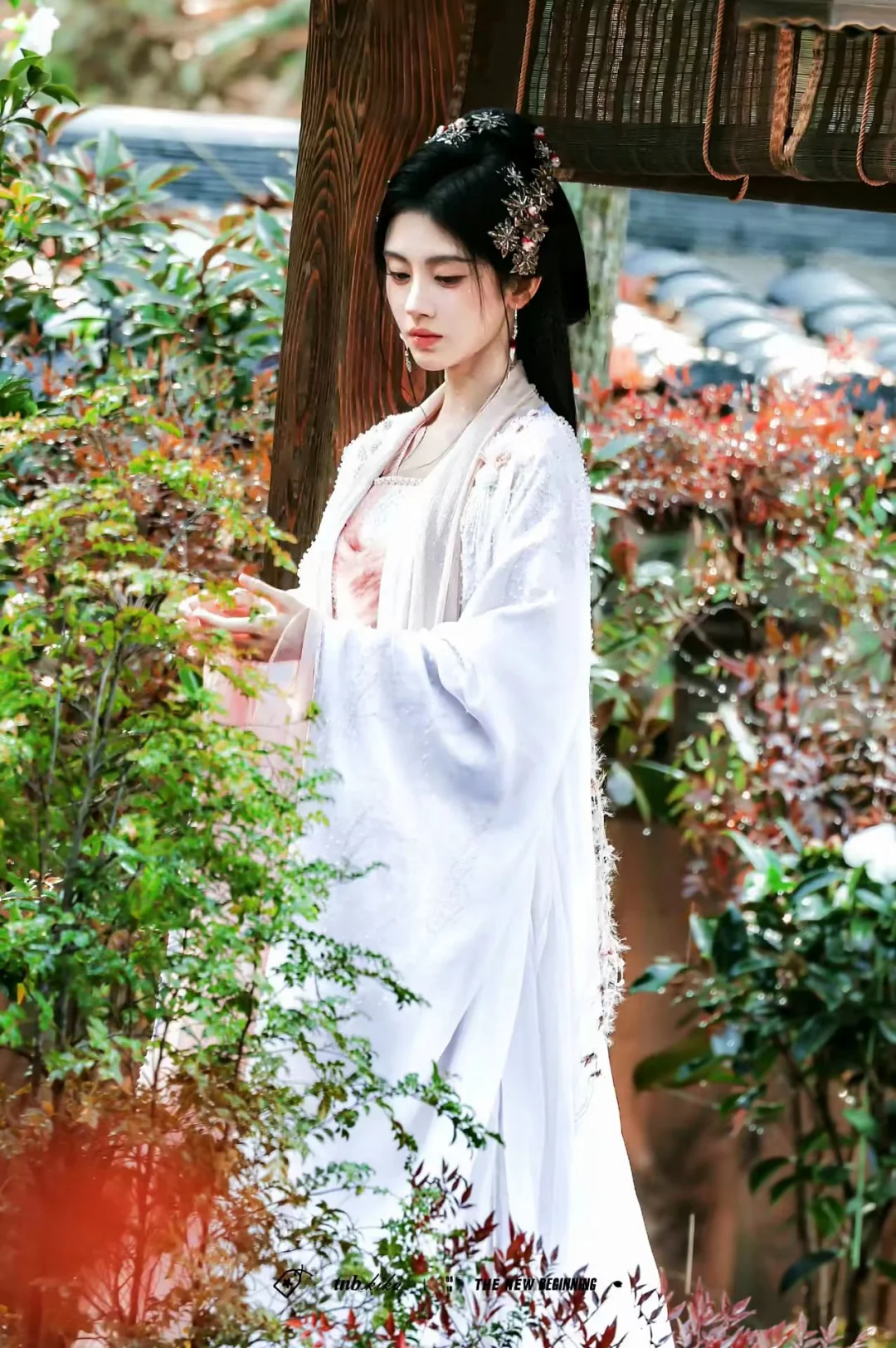 古装美女鞠婧祎