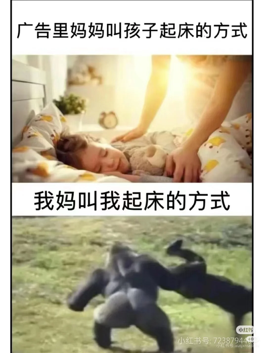 搞笑图片后有好东西