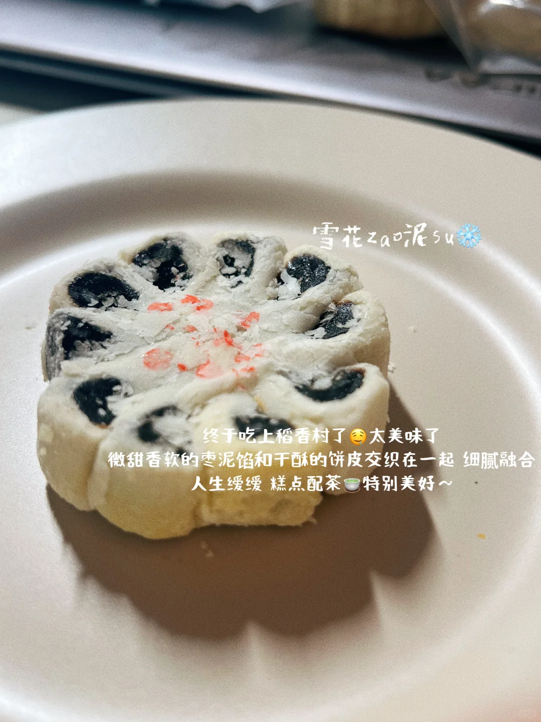 叮～鲜活的plog?