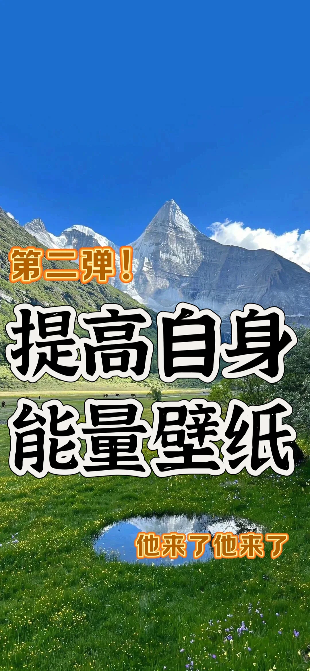 第二弹?春天?气息壁纸它又又来了｜⬆️能量