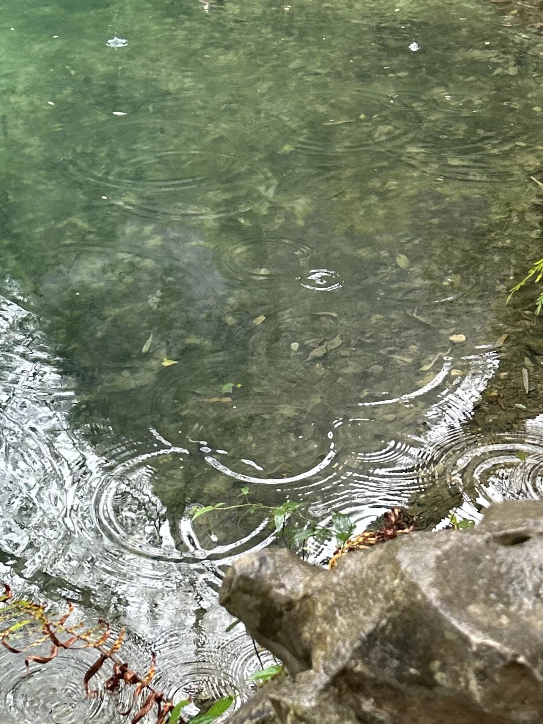 荔波小七孔-人间绿宝石 下雨也出片