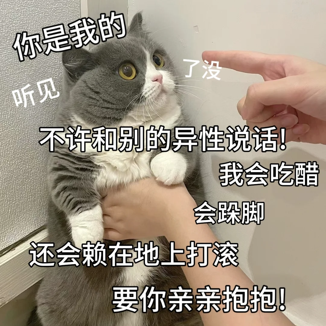 适合发给对象的表情包