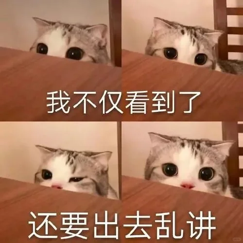 万能接话猫meme表情包