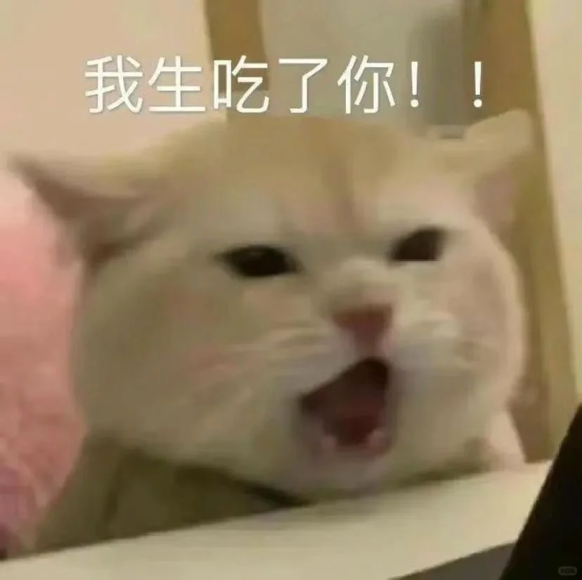 奶凶吵架猫咪表情包