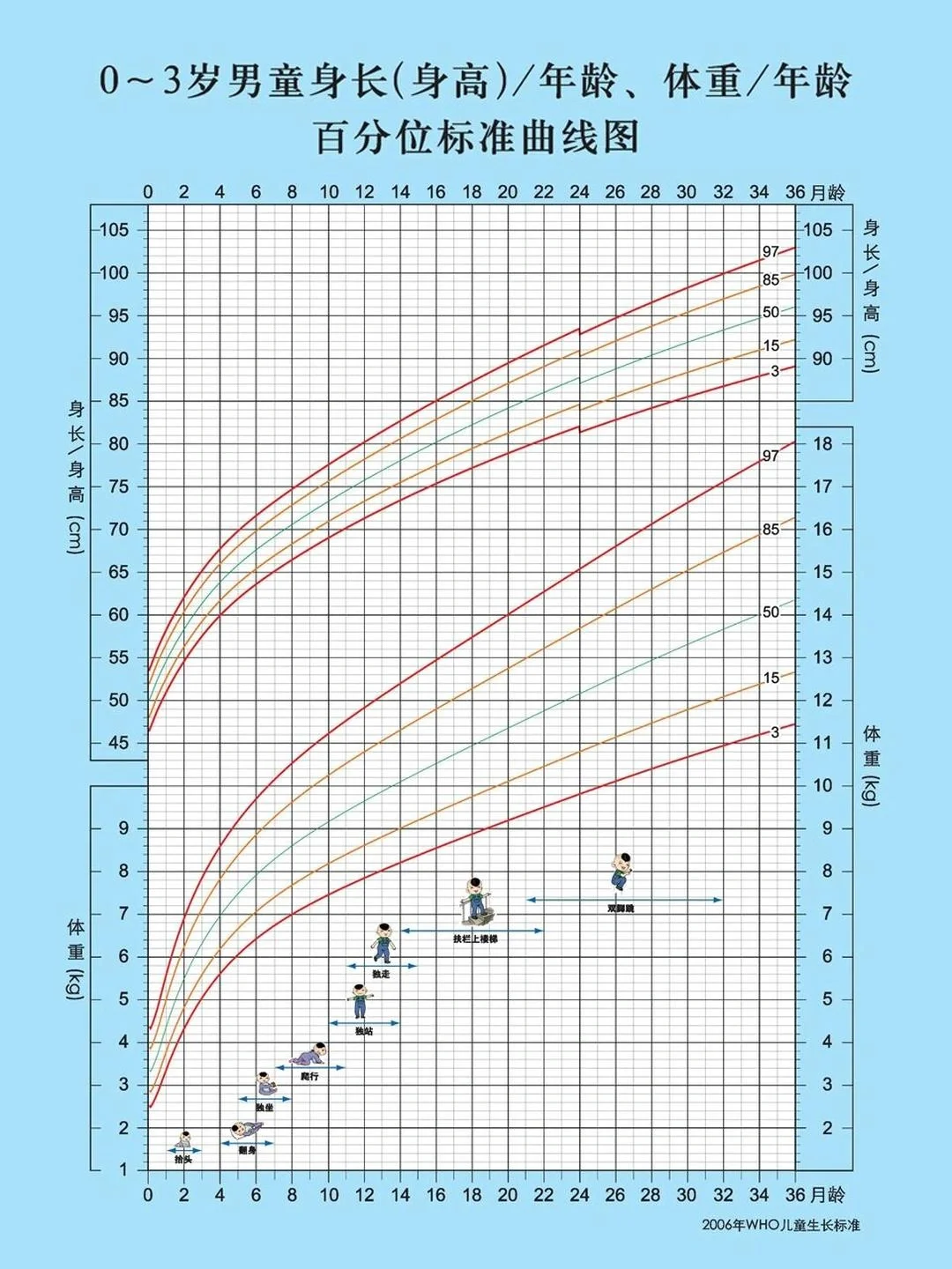世卫组织推荐宝宝生长曲线