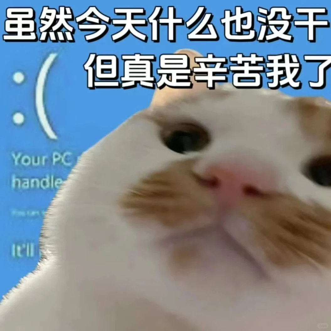 万能接话猫meme表情包