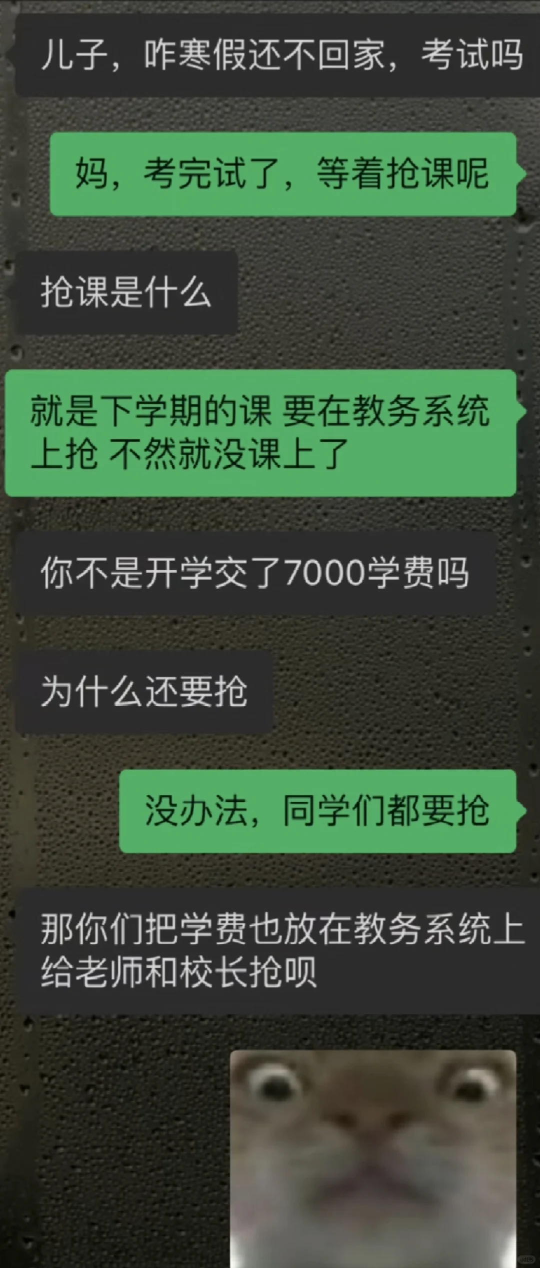 还得是黑丝管用