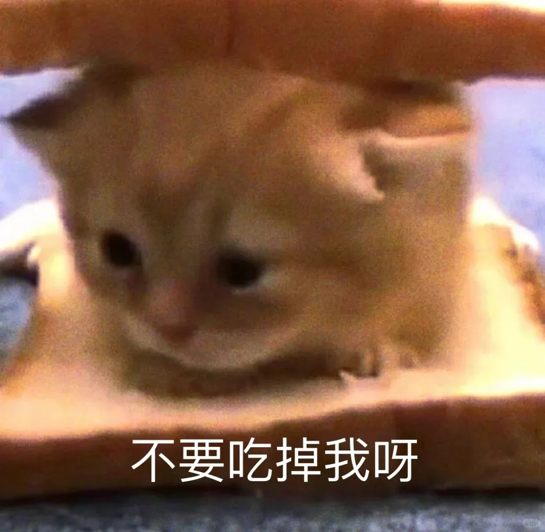 小猫表情包第6弹