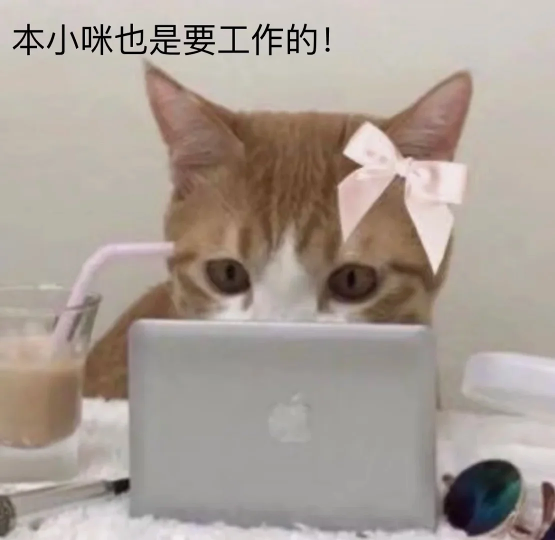 小猫表情包第6弹