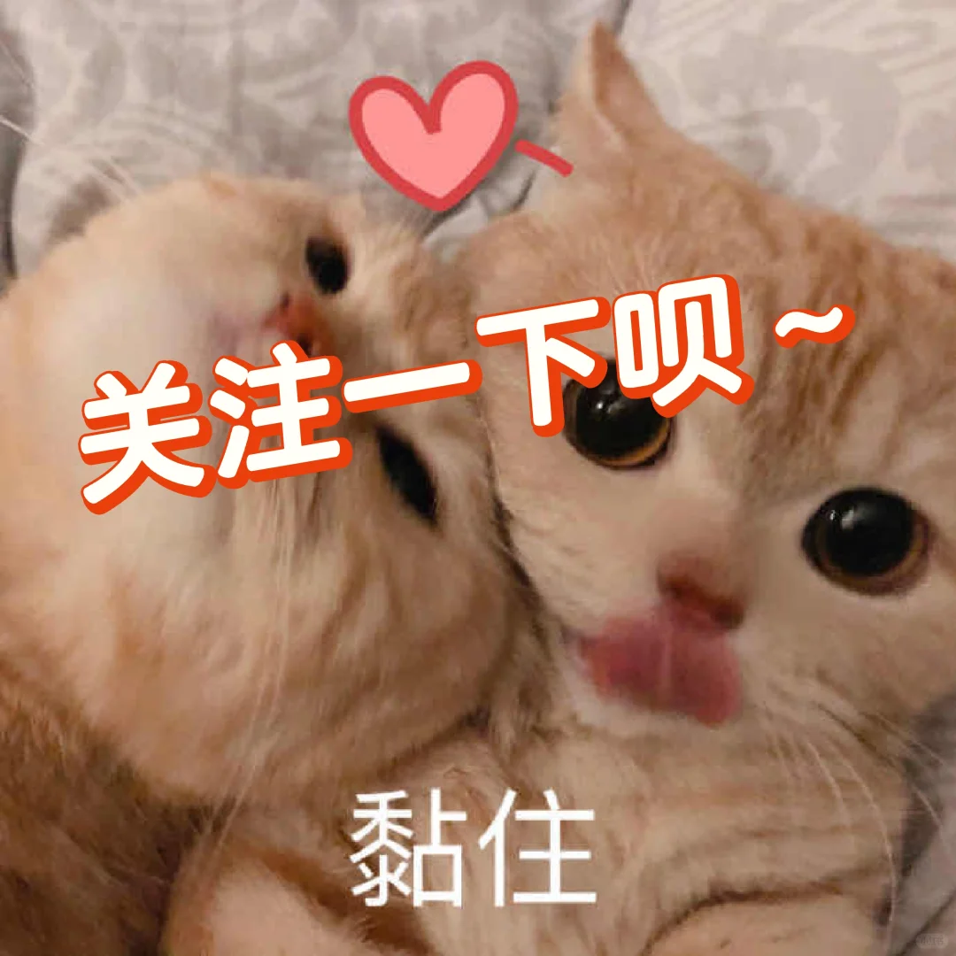 有趣的猫咪表情包😘