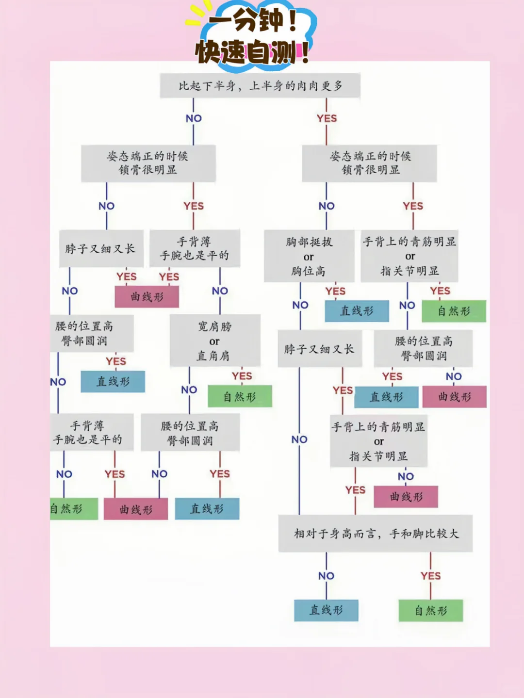 韩国明星都在做的测试：身材直曲判断！