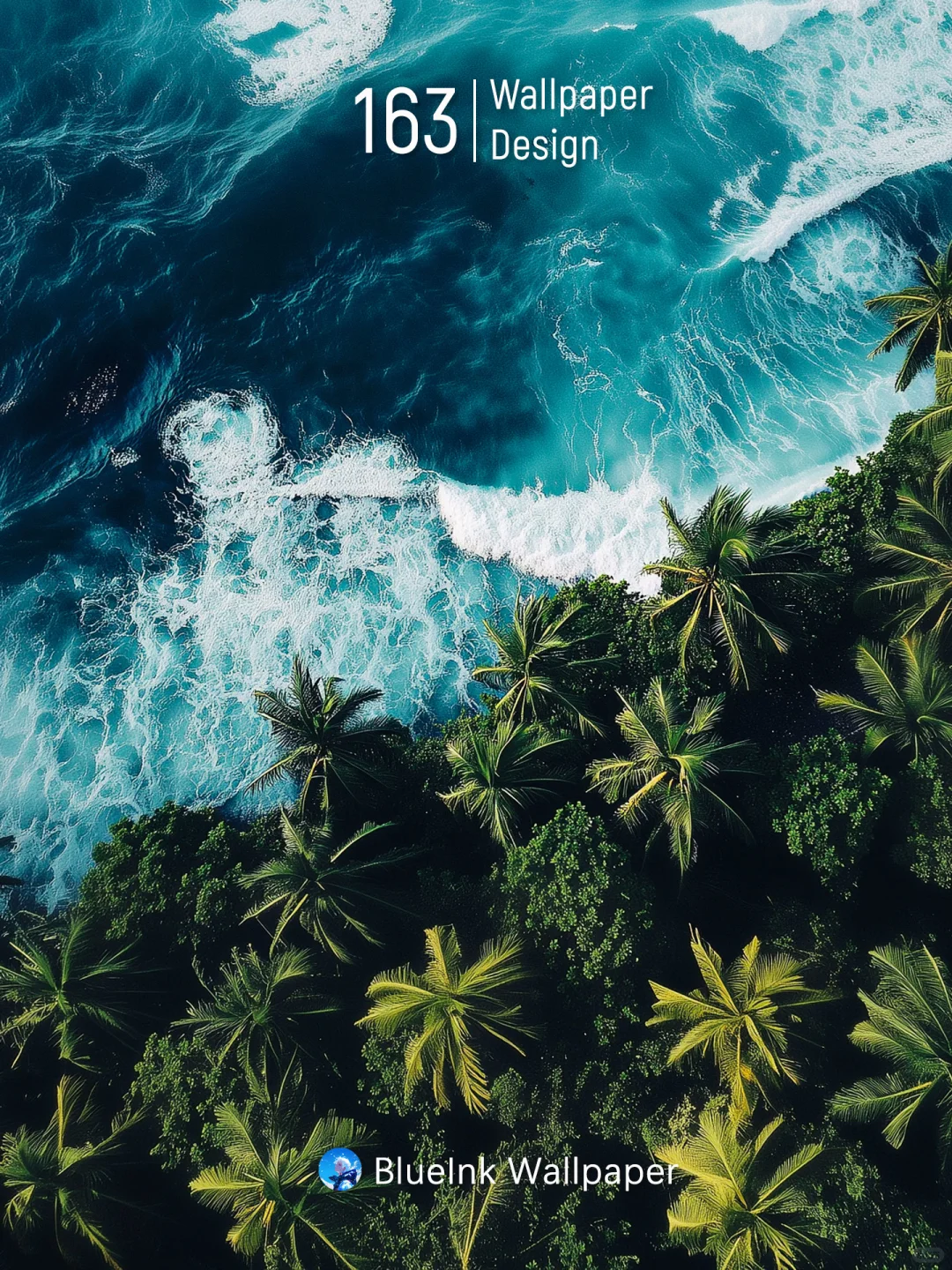 海浪与棕榈树的交响乐 | 蓝墨高清风景壁纸