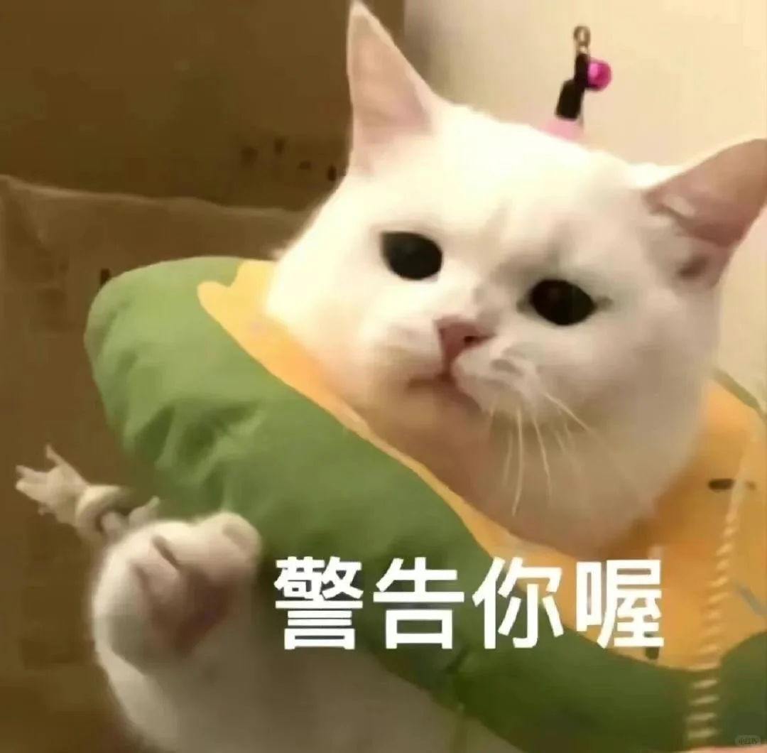 奶凶吵架猫咪表情包