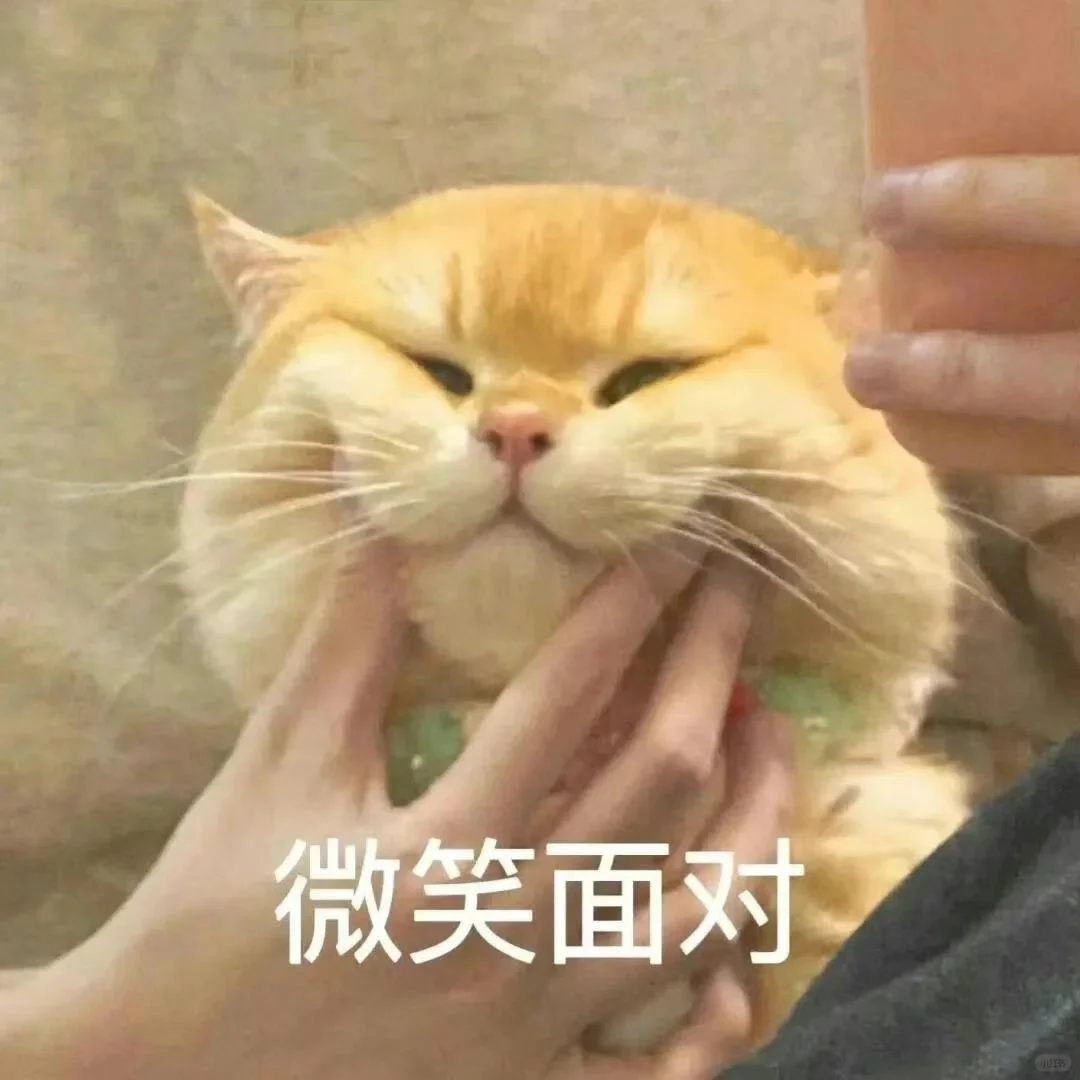 奶凶吵架猫咪表情包