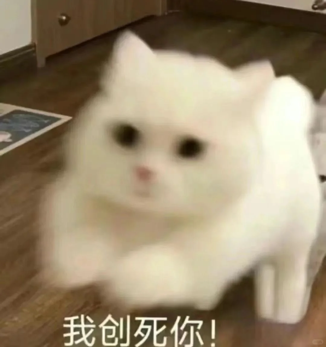 奶凶吵架猫咪表情包