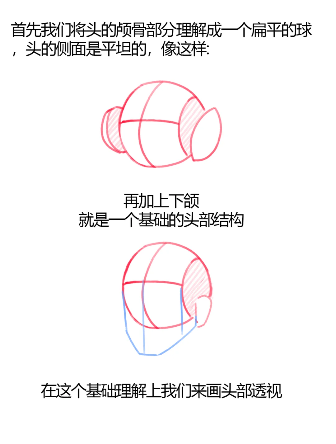 傻瓜画法！画头部透视的万能公式！