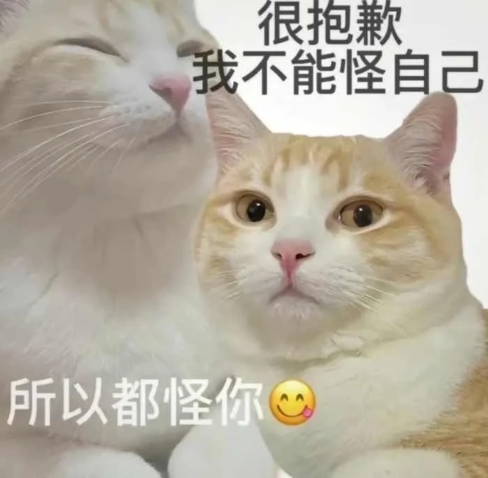 有趣的猫咪表情包?