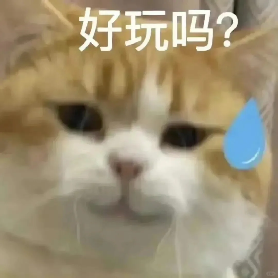 万能接话猫meme表情包