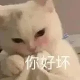 猫猫表情包来喽～