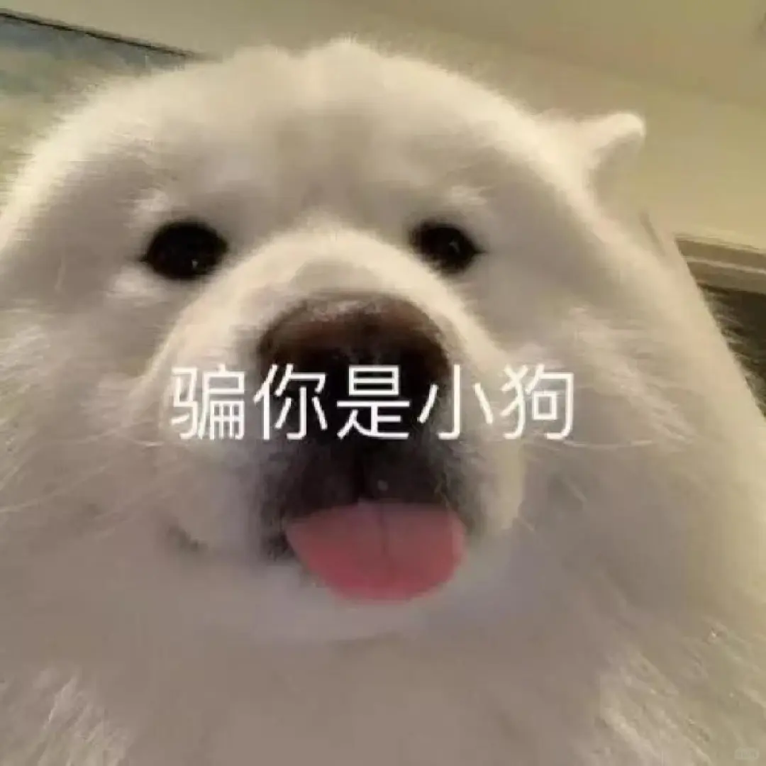 和crush犯贱的表情包