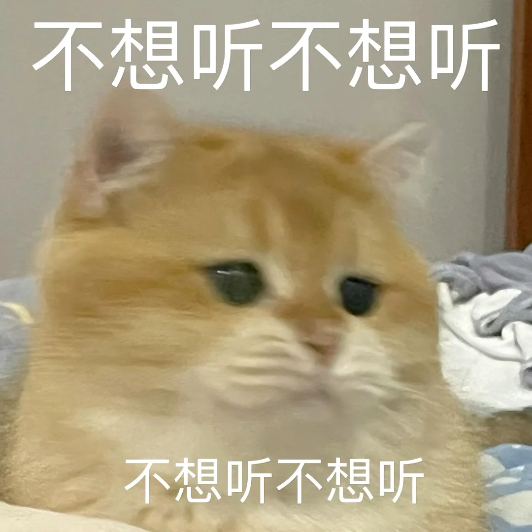 猫猫文字表情包