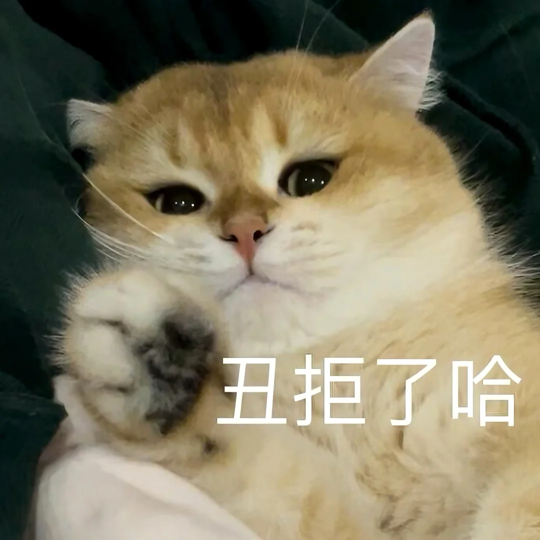 猫猫文字表情包