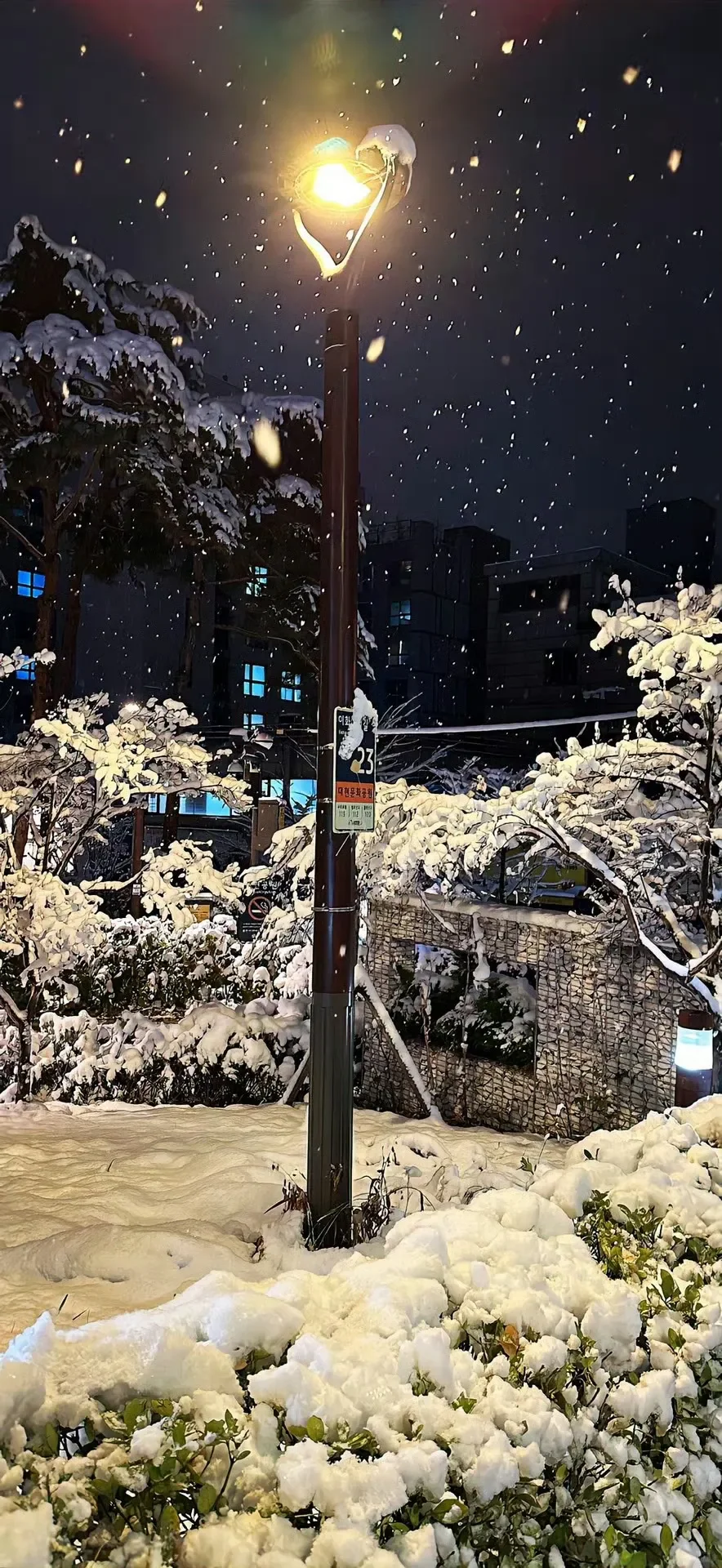 壁纸 |在雨中奔跑