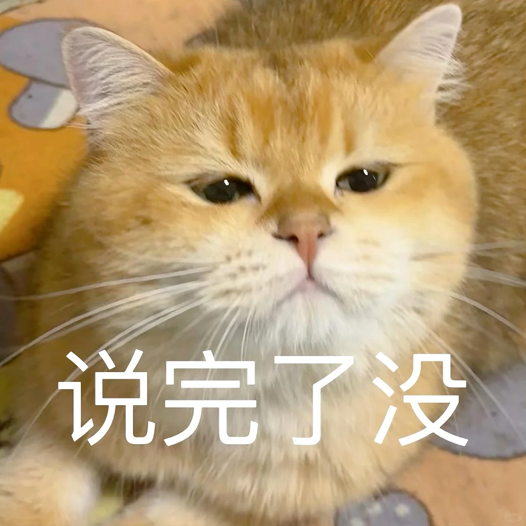 猫猫文字表情包